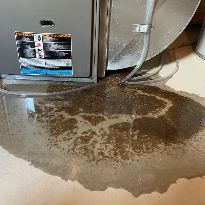 Appliance Leak Cleanup in Cedar Falls, IA